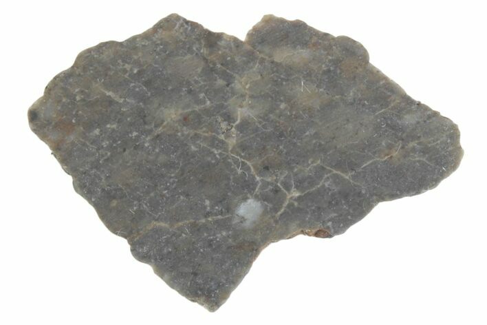 Lunar Meteorite ( g) Slice - Laayoune #381695